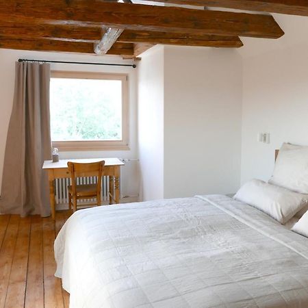 ライヒェナウHaus Muensterblickアパートメント エクステリア 写真