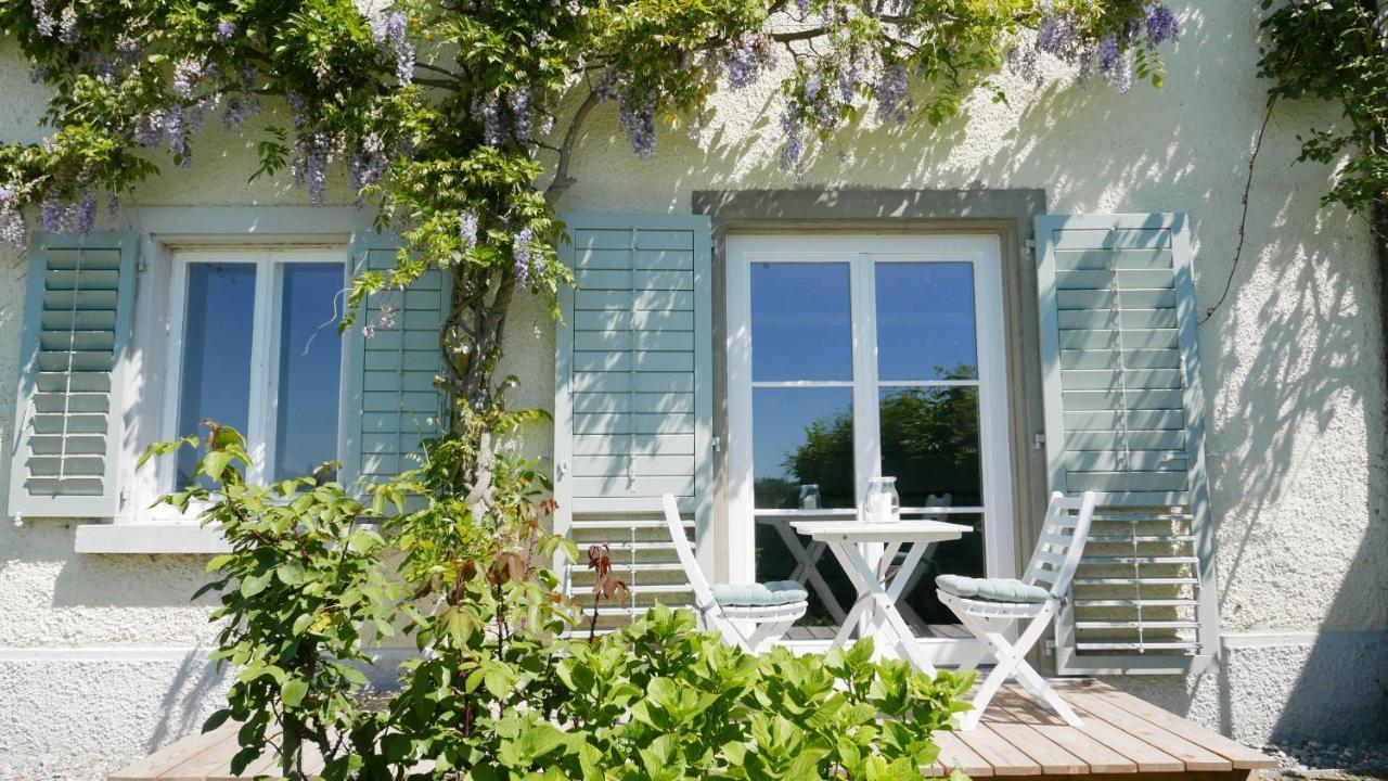ライヒェナウHaus Muensterblickアパートメント エクステリア 写真