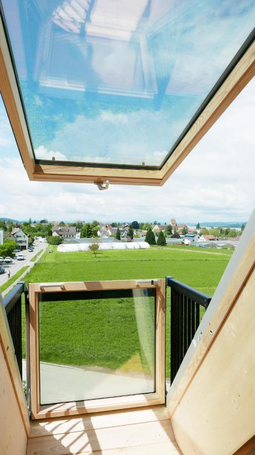 ライヒェナウHaus Muensterblickアパートメント エクステリア 写真