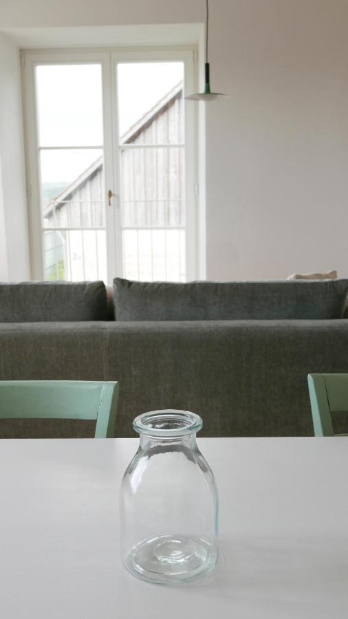 ライヒェナウHaus Muensterblickアパートメント エクステリア 写真