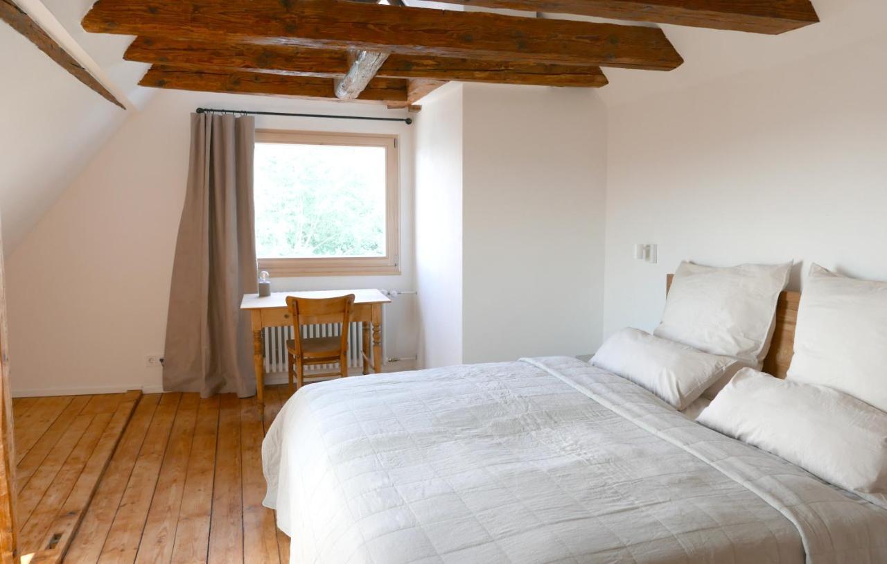 ライヒェナウHaus Muensterblickアパートメント エクステリア 写真